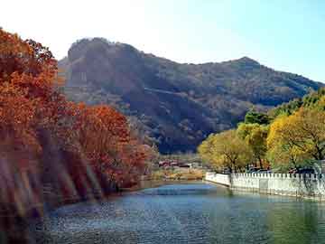 澳门天天免费精准大全，千岛湖钓鱼网